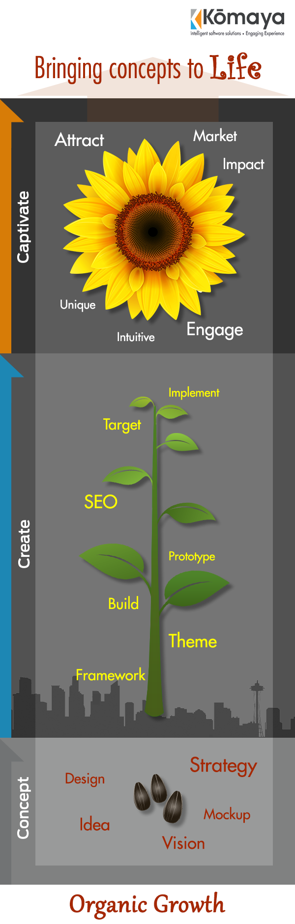 Concept Create Captivate Infographic Beautiful sunflower growth stages web design infographic