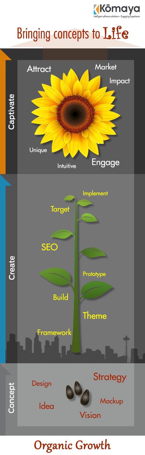 Beautiful sunflower growth stages web design infographic